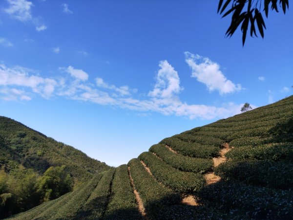 鹿谷小半天6峰連走1269679