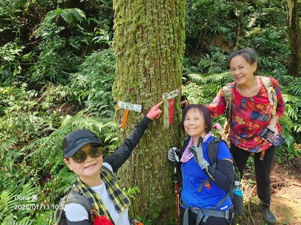 【菁桐】巡山東勢格古道全段加碼臭頭山2848026