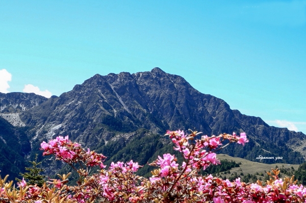 台灣高山之美20051