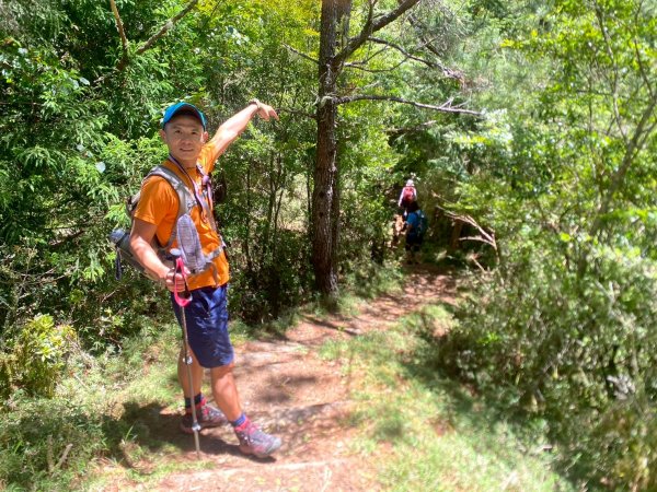 東埔山+東埔大草原步道【這裡的夏天冷颼颼】2826518
