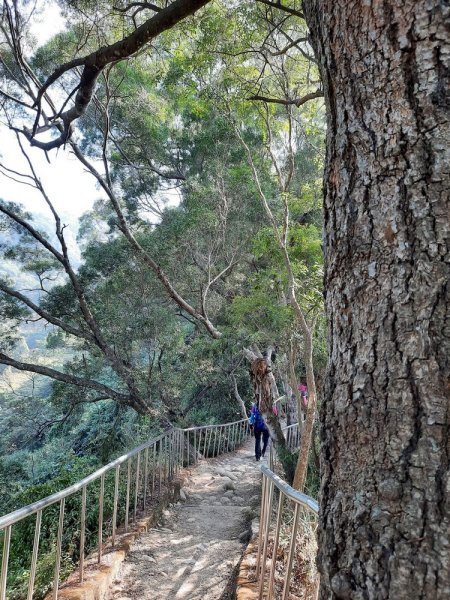 《彰化》田中森林登山步道O型202011221179708