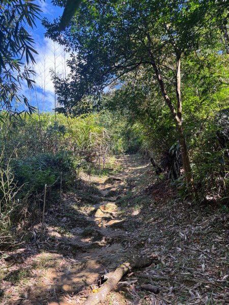 五分山系-望古瀑布段2896292