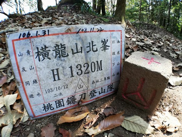 ~ 橫龍山、騰龍山(橫龍古道) ~846685