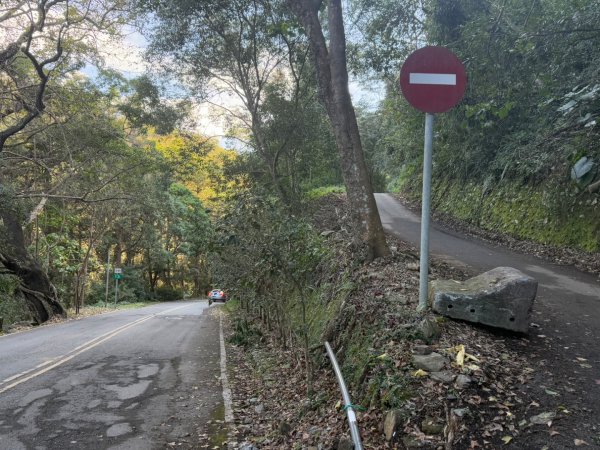 20250130 北港溪峽谷步道2702924