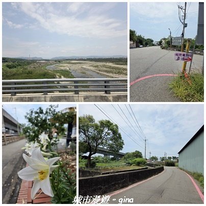 【台中外埔】外埔水流東桐花步道3046209