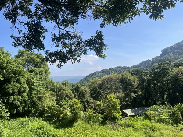 [皮皮獅Hike客任務-07/10] 2024_0831 大山背麒麟步道2586109