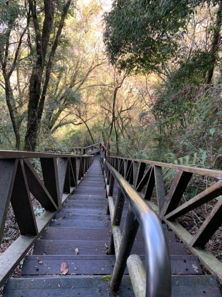 梨山賓館步道875978