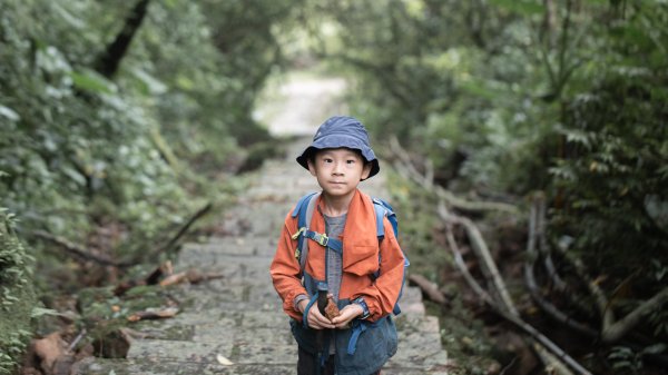 傳說中的「魔神仔洞」| 菁桐古道（汐止段＆平溪段）2721266