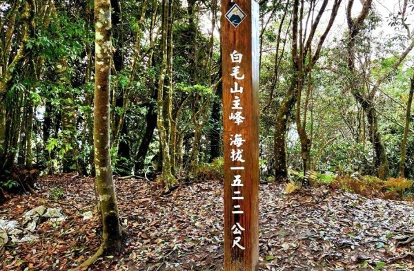 【中級山】天梯直上雲霄，一切美景盡在眼底，谷關七雄白毛山2742445