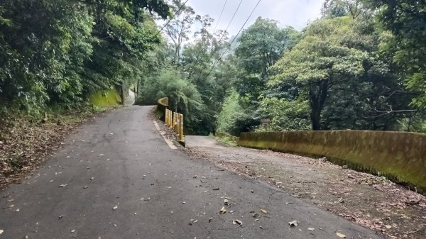 三芝區龜子山橋-三板橋-大屯溪古道(殘念)去回3090817