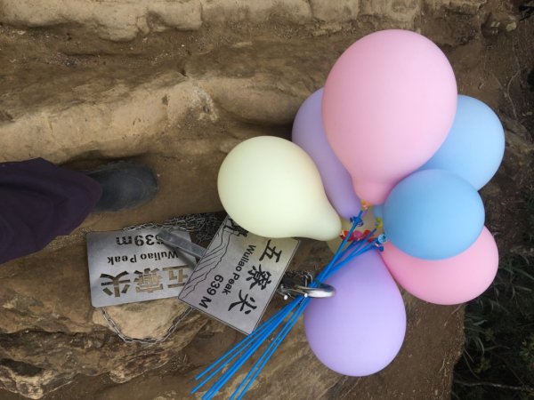 慶元旦（🎉🍾️2025-01-01🍾️🎊2680648