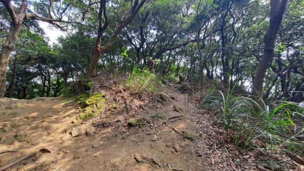 桃園龜山褔源山步道2443790