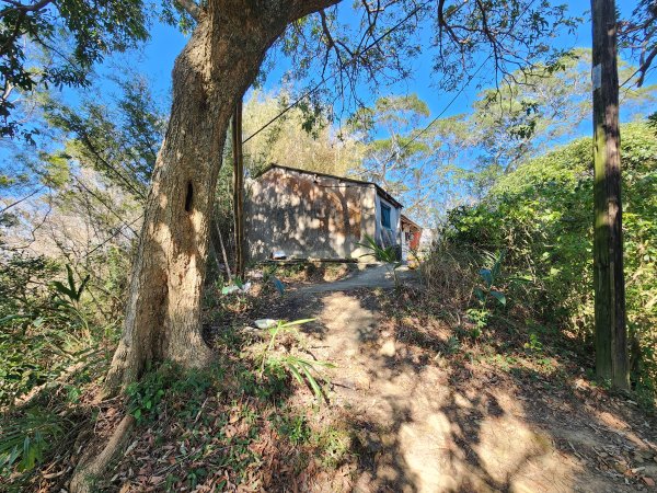 20250114石井山、榴子坑山、後脊山、龍頂山2728598