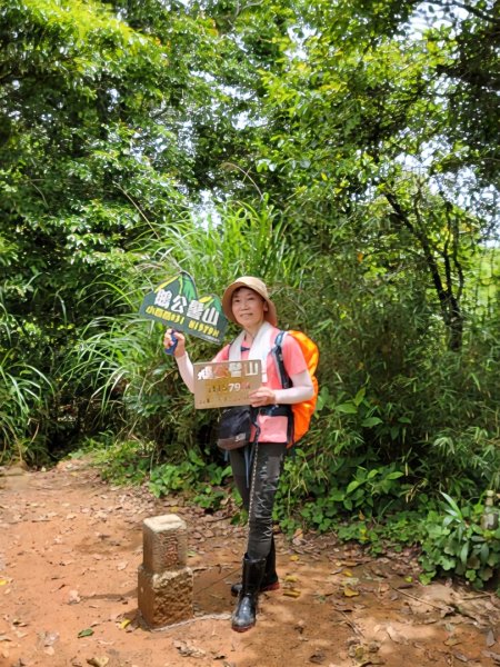 鵝公髻山採桃趣-202505302865283