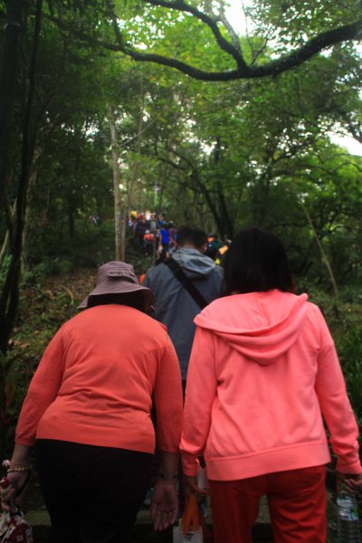 汐止大尖山健行活動 20191109735074