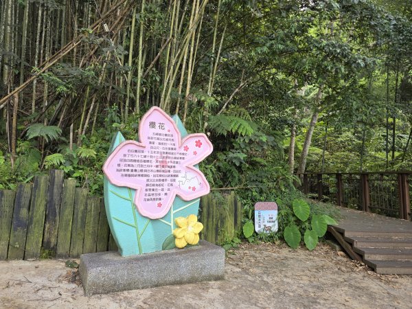 [皮皮獅探險隊-10/10] 2025_0816 白蘭溪古道2862937