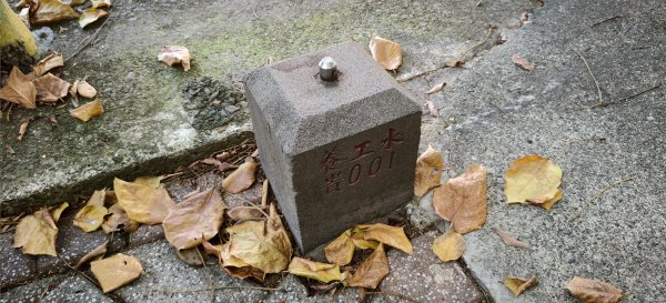 2025/09/13_貴子坑親山步道2884141