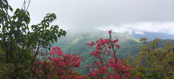 三角峰3055443