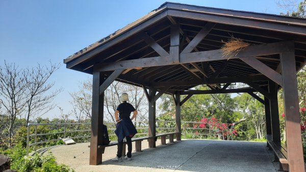 《彰化》登山逛市集｜臥龍坡步道環藤山步道20250322