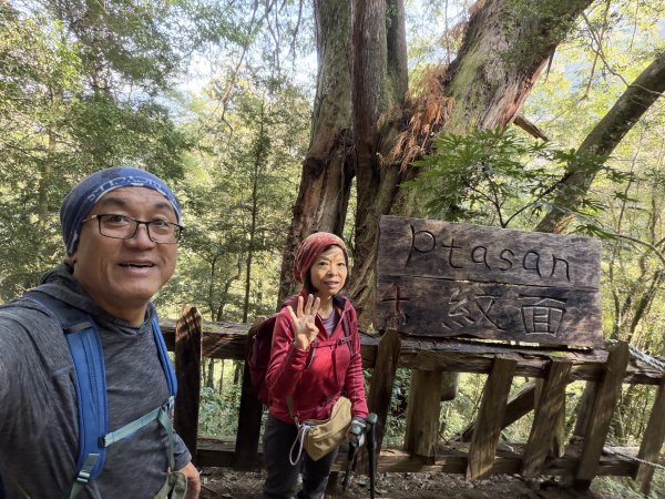 鎮西堡巨木步道B區全段+A區部分3008509