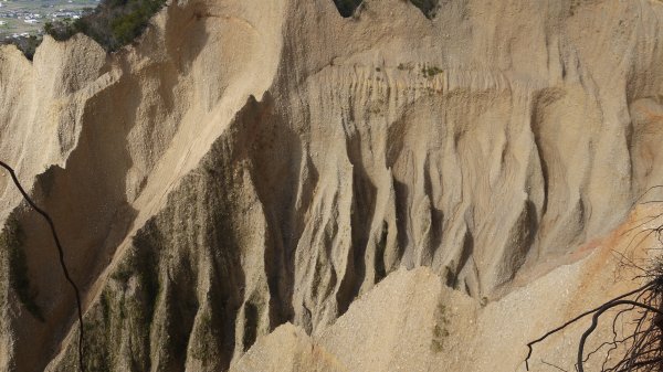 四訪火炎山登山健行趣(小百岳35號)1584958