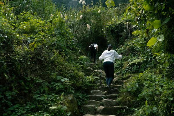 【馬那邦山】苗栗熱門簡單爬山景點，穿梭古戰場，遠眺聖稜線，珠湖上登2062999