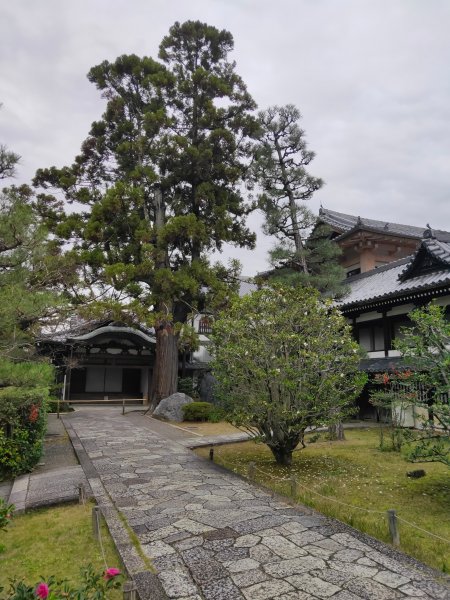 【海外健行】知恩院-大谷祖廟-円山公園-坂神社散策1939291