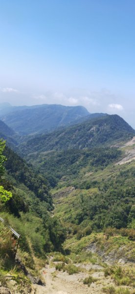 東藤枝山895756