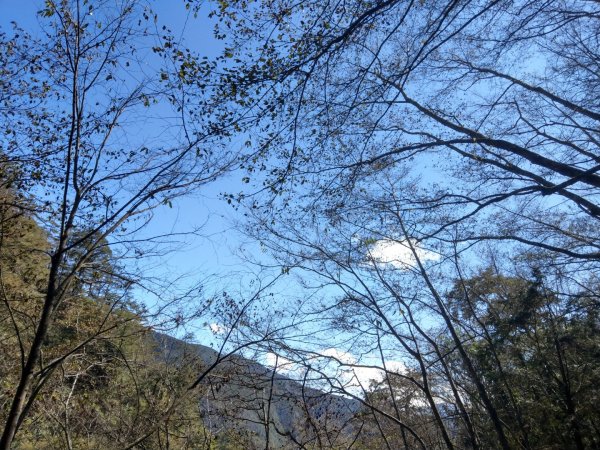武陵桃山瀑布步道（煙聲瀑布）往返約9km829635