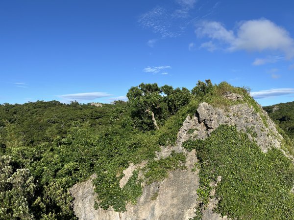 [屏步青雲 尋寶任務-07/10] 2024_1006 社頂自然公園步道2616864