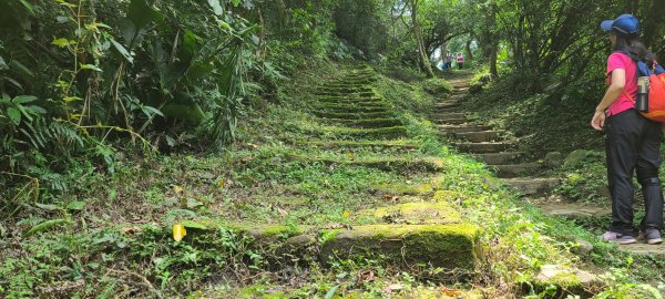 土城山中湖1067107