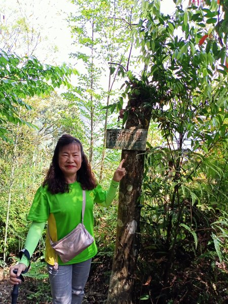 【苗栗-臺灣百大必訪步道】泰雅族抗日的馬那邦山登山步道1347686