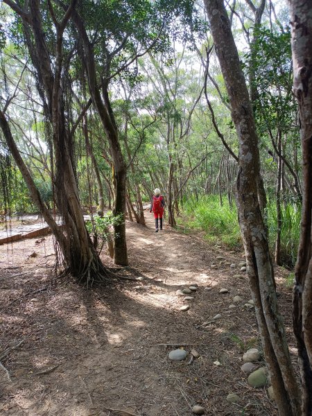 大肚萬里長城登山步道