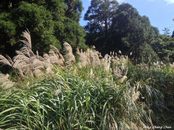【山岳之美】~大屯主→七星主→ 七星東→夢幻湖→擎天崗5577