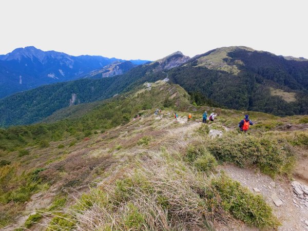 合歡北峰步道-(南投)臺灣百大必訪步道2795011