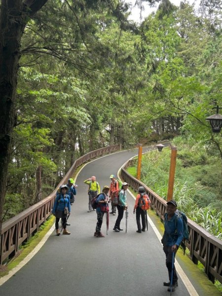 阿里山小笠原祝山森林遊3091588