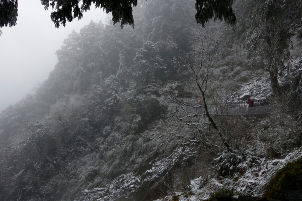 下雪。見晴懷古步道2018.02.03263936