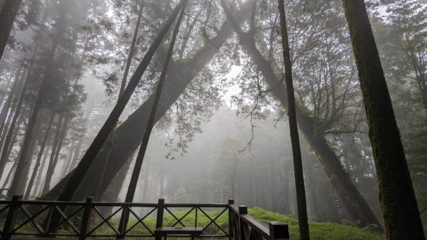 阿里山森林遊樂區2165565