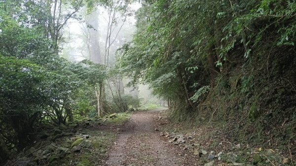 20251010 大雪山國家森林遊樂區 - 船型山林道 登 烏石坑山2911059