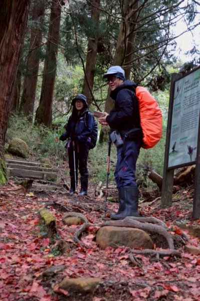 神阿縱走~台灣難抵極~大塔山2971939