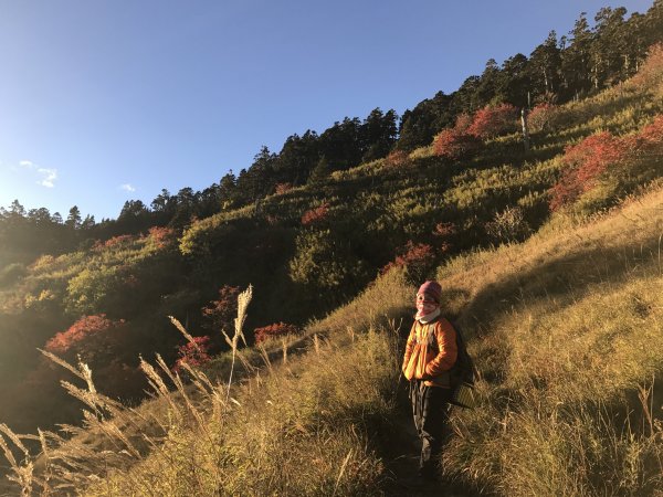 雪山 不下雪532974