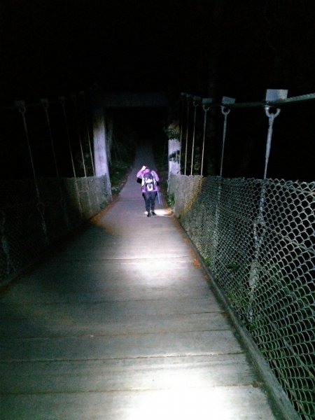 武陵四秀之桃山449061