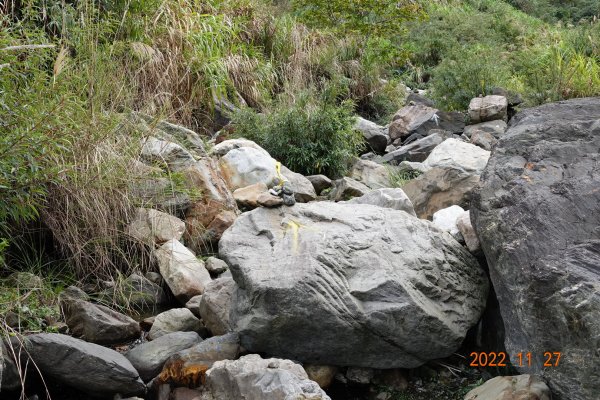 臺中 和平 百川山1931309