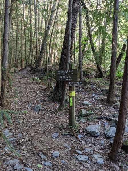 疫情爆發前之母親節登志佳陽大山1416842