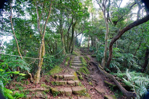 新北 土城 天上山、五城山、文筆山、五尖山、牛埔頭山、大尖山、二尖山、內冷水坑山、石門山、南天母山3134907