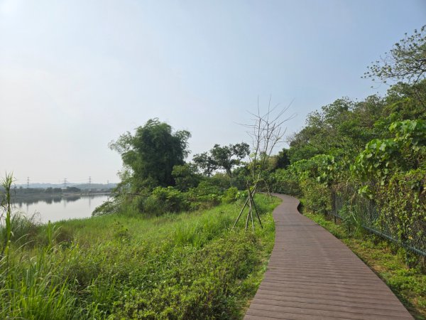 觀音湖3038279
