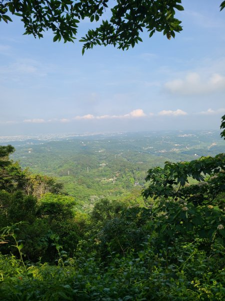 挑炭古道(三通嶺古道)+慈濟山步道2780428
