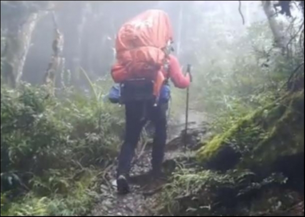 【短片】背行山林