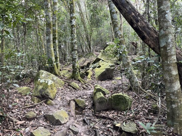 白毛山（谷關七雄之6）2588207