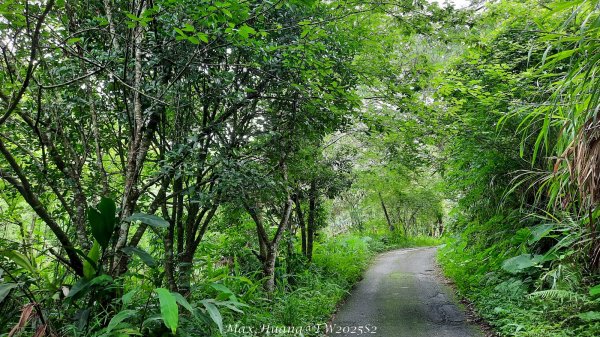 《台中》優美稜線｜橫嶺山自然步道（大雪山社區南登山口）202505312800135